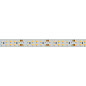 Светодиодная лента Arlight RTW-SE-A240-15mm 24 В IP65 19.2 Вт/м 240 LED/м 15 мм CRI>85 5 м — фото 1