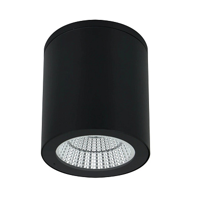 A1813PF-1BK Arte Lamp A1813 накладной светильник 13W 1150lm 4000K