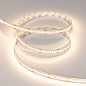 038745 Arlight Лента RT-A240-10mm 24V Warm3000 (22 W/m, IP20, 2835, 5m) — фото 1