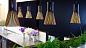 Подвесной светильник Secto Secto Design 4201-BLK-B-1,5-EUTB — фото 2