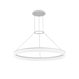 00-0002-BW-M3 Leds C4 Circ подвесной светильник большого диаметра кольцевой формы белого цвета