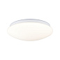 Потолочный светильник Paulmann Leonis II, 16,5 Вт — фото 12