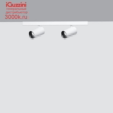 QX28 Palco Recessed iGuzzini Palco linear surface 2 x Ø37 - flood - remote driver