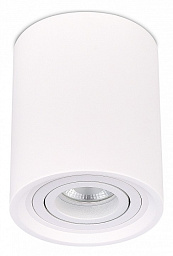 ST156.502.01 ST-Luce St155 gipsum потолочный светильник белый гипсовый цилиндрический