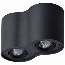 A5645PL-2BK Arte Lamp Falcon накладной потолочный светильник двойной чёрный