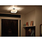 Shailene 14" 3 Light Square Semi Flush Black потолочный светильник 43691BK Kichler