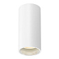 1006440 SLV ASTO TUBE DL cylindrical 1x10W white потолочный накладной светильник — фото 1