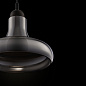 Подвесной светильник Ola Maytoni матовый черный-дымчатый P016PL-01B