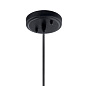 Zailey 9.5" 1 Light Pendant Black подвесной светильник 52176BK Kichler — фото 3