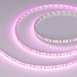 015897(2) Arlight Лента RT-A120-8mm 12V Pink (9.6 W/m, IP20, 2835, 5m)