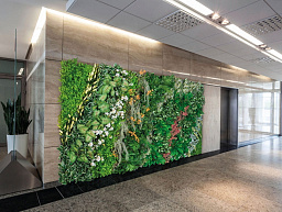 DAINTREE WALL Растительная рамка VGnewtrend
