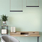 Belty linear Denkirs светильник для трека-ремня DK5576-BK — фото 3
