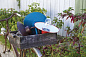 106013067 Roger Pradier Belcour N°8 HELDERE GROEN 067 Накладное бра — фото 4