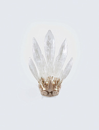 DANDELION-CHRYSALIS Serip Dandelion Настенный светильник