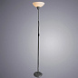 Торшер Arte Lamp DUETTO A9569PN-1SI — фото 1