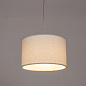 Подвесной светильник Arte Lamp CHARLIE A5071SP-1SS — фото 1