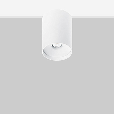 Настенно-потолочный светильник Koine 10 Flexalighting