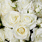 Искусственное растение Roses Eichholtz 119292 — фото 2