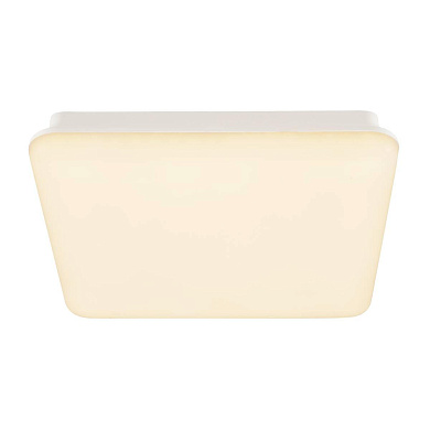 потолочный светильник квадратный с матовым рассеивателем IP44