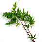 Искусственное растение Tender Leaves Eichholtz 119288 — фото 2