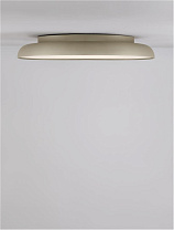 Dimmable by Remote Control Champagne Gold Aluminium & Acrylic LED 50 Watt 220-240 Volt 3741Lm IP20 2700-4000K D: 60 H: 9 cm