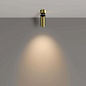 FOCUS LED Maytoni потолочный светильник C055CL-L12W3K-W-BS латунь