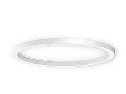 P08201.180.0402 Panzeri Silver ring потолочный светильник с кольцевым рассеивателем и металлической отделкой