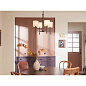 Ali 20" 4 Light Chandelier Black люстра 52504BK Kichler — фото 3