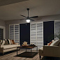 54" Seaside Fan Satin Black люстра-вентилятор 310181SBK Kichler — фото 1