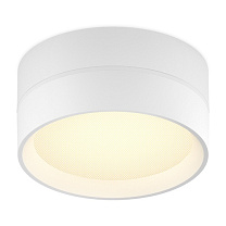 SOFT 20.30 WB Led Technology накладной потолочный светильник