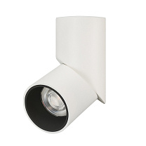 SP-TWIST-SURFACE-R70-12W
