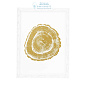 110875 Prints EC257 Gold Foil: Tree Rings set of 4 Eichholtz