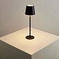 A1614LT-1BK Arte Lamp Fuyue уличный настольный светильник LED 1х2W 180Lm 3000,4500,6000K — фото 1