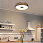 04506TNDHXXXX Elesi luce Gaia PL Round L LED потолочный светильник в современном стиле серый — фото 1