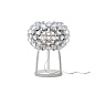 FN311021R1_25 Foscarini Caboche Plus TL S настольный светильник дизайнерский серый — фото 1