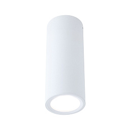 Barrel-Ceiling-D60 Paulmann Barrel Потолочный светильник