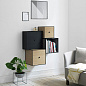 71073-001719 Audo Copenhagen Frame 42 куба с дверцей, черный ясень — фото 1