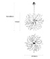 Подвесной светильник SERIP Dandelion Floccus — фото 3
