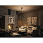 Priam LED Chandelier Matte Black люстра 84313MBK Kichler — фото 1