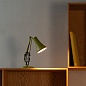 Настольная лампа Anglepoise 90 Mini Mini Зеленый авокадо 33297 — фото 2
