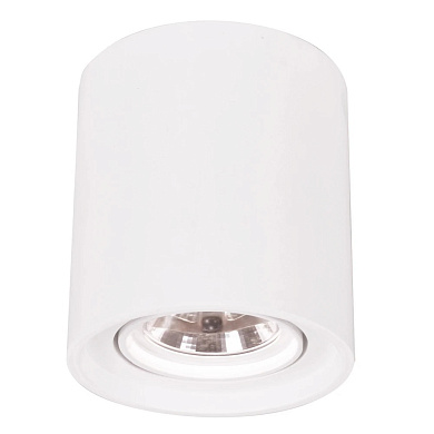 A9262PL-1WH Arte Lamp Tubo точечный накладной светильник G53 1х35W