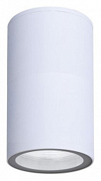A3302PF-1WH Arte Lamp Mistero фасадный настенный светильник с одним плафоном