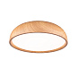 Потолочный светильник Paulmann Oka Wood, 24 Вт — фото 10