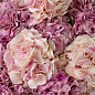 119281 Eichholtz Hydrangeas букет гортензий — фото 1