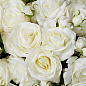 119292 Eichholtz Roses букет из роз — фото 2