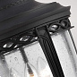 Уличный подвесной светильник English Bridle Feiss FE-EB8-L-BLK черный — фото 1