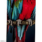 53086 Картина в стекле Twin Parrot 80x120см Kare Design