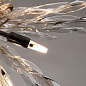 A1066SP-12CC Arte Lamp Bella подвесная люстра G9 12х40W — фото 2