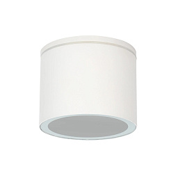 A1913PF-1WH Arte Lamp PIAUTOS накладной потолочный светильник цилиндрический белый IP54