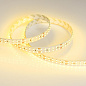 008774 Arlight Лента RT 2-5000 24V Yellow 2x2 (3528, 1200 LED, LUX) — фото 2